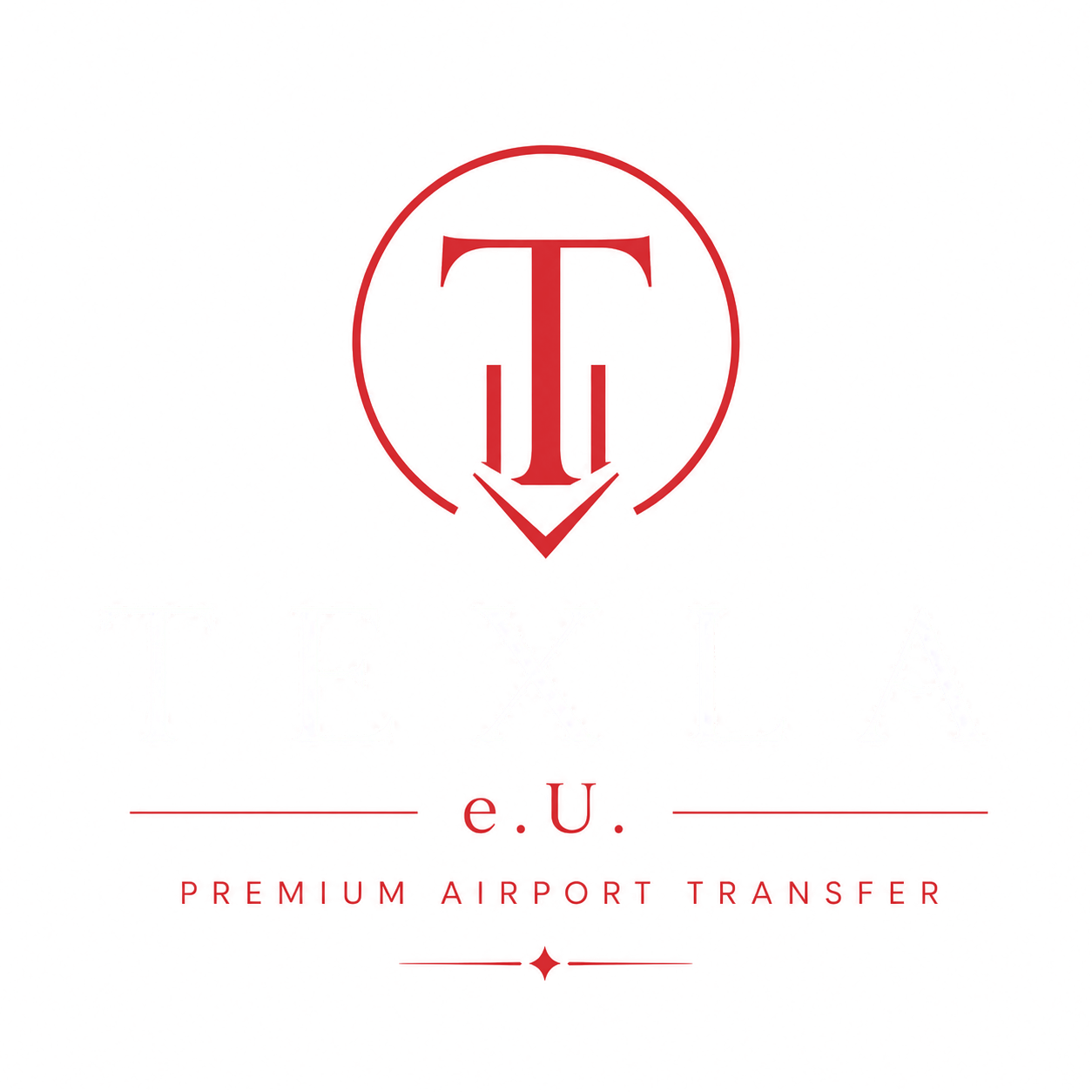Texla e.U. Logo